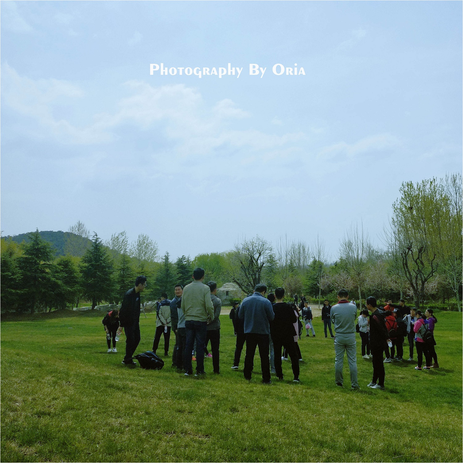 1547452781469864.jpg 3.jpg