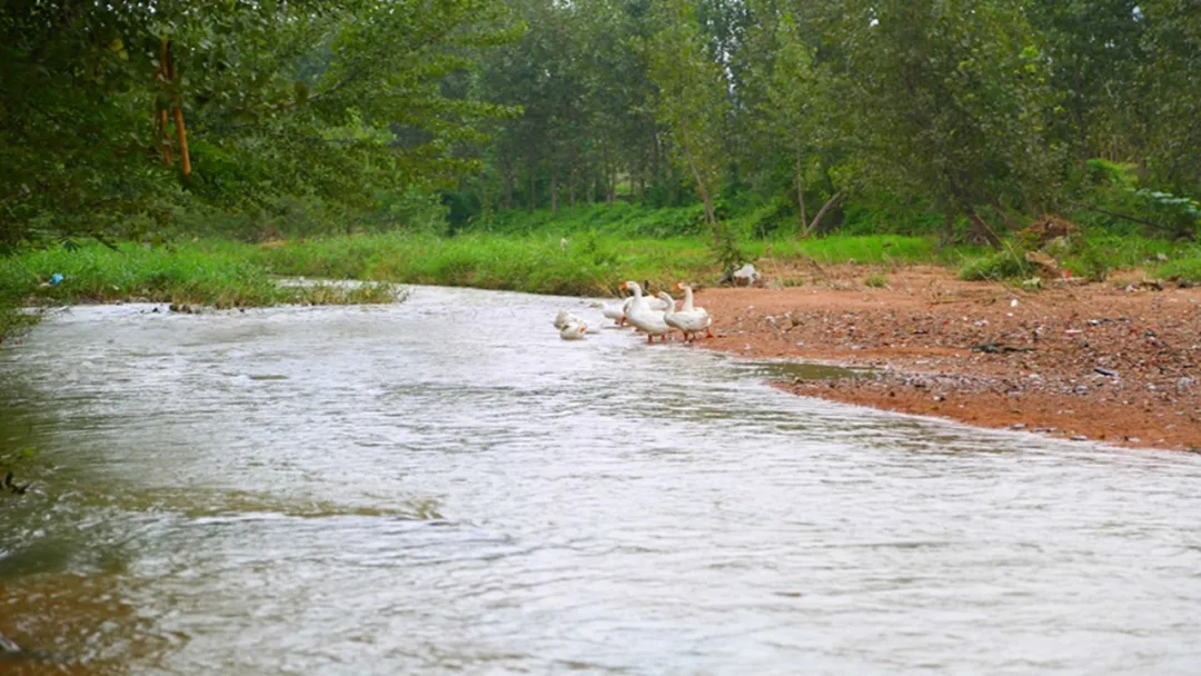 1631586799392677.jpg 3.webp.jpg