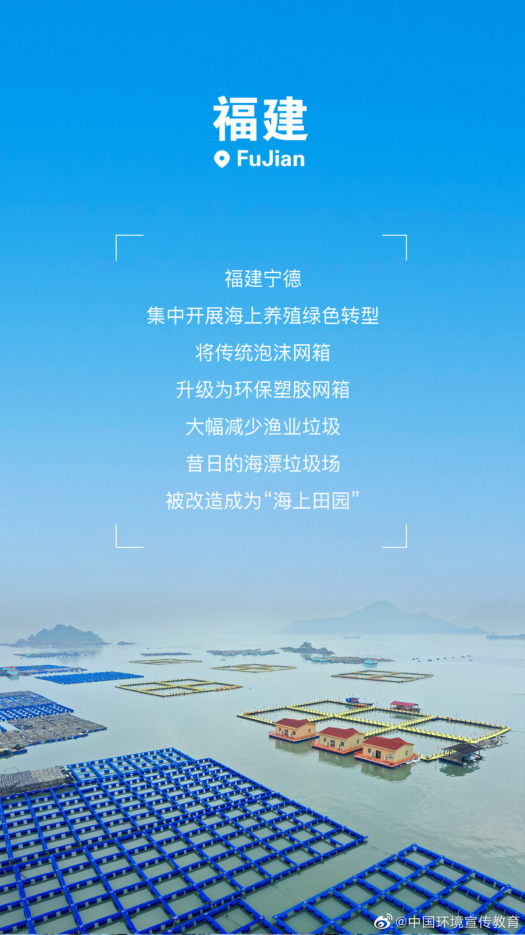 1663913428542756.jpg 5.jpg